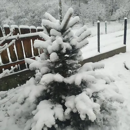 Ferienhaus кресаня