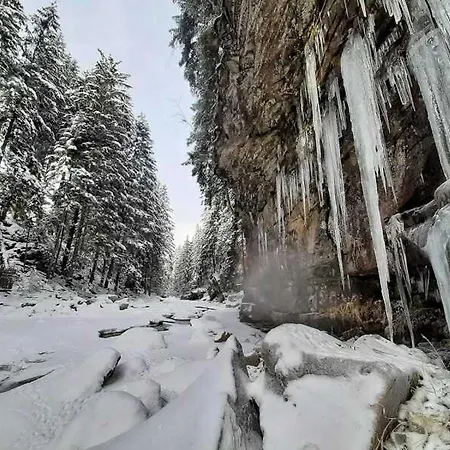 кресаня Mykulytschyn