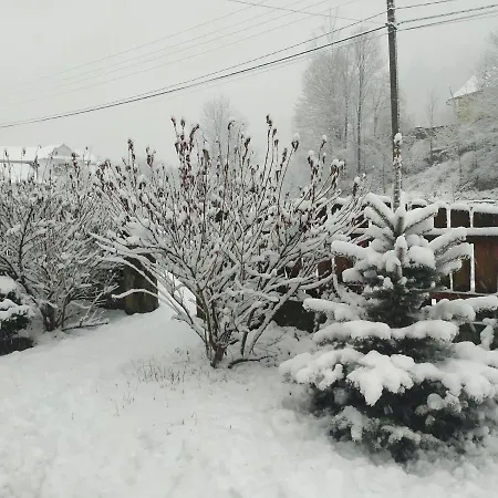 кресаня Σπίτι διακοπών Mykulychyn