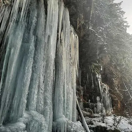 Σπίτι διακοπών кресаня Mykulychyn